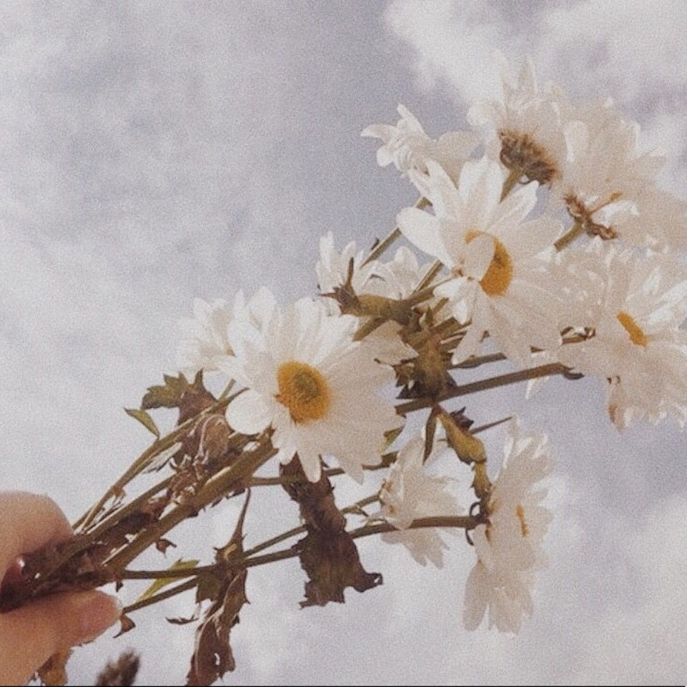 Meet your Posher, Arden shop